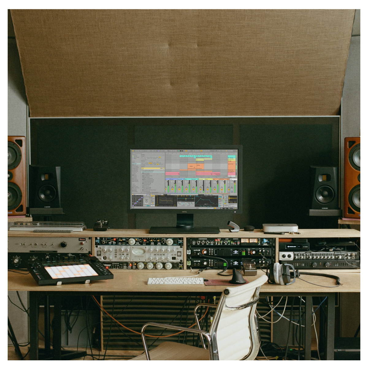 Ableton Live 12 Standard: DAW & Instrument Software