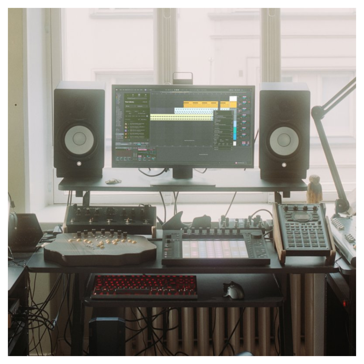 Ableton Live 12 Suite: DAW & Instrument Software