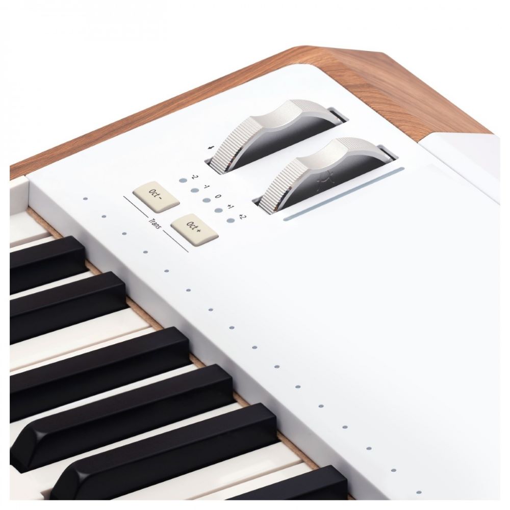 Arturia AstroLab 61-key Stage Keyboard (New) - Available for backorder