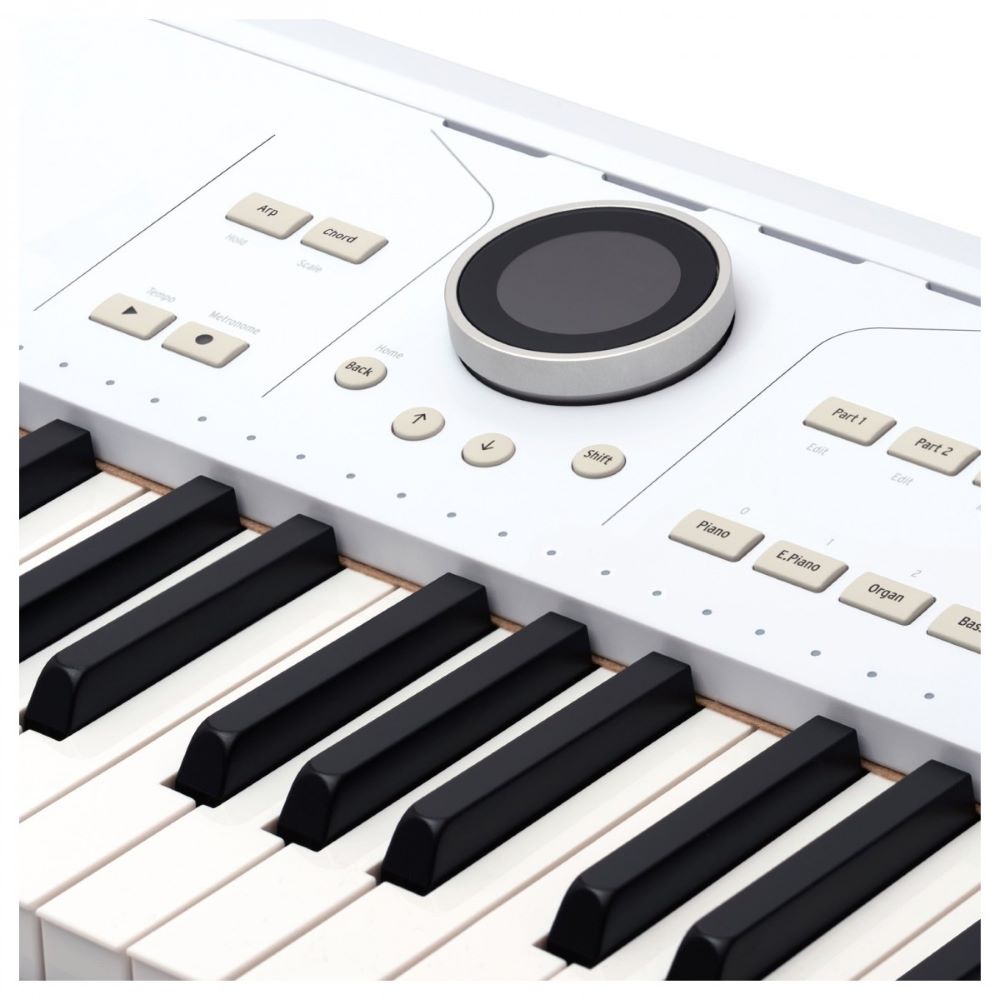 Arturia AstroLab 61-key Stage Keyboard (New) - Available for backorder