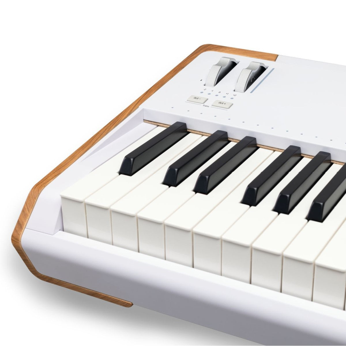 Arturia AstroLab 88-key Stage Keyboard PROMO