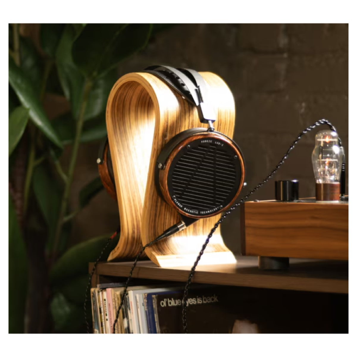 Audeze LCD-2 Padauk Open-Back Planar Magnetic Headphones