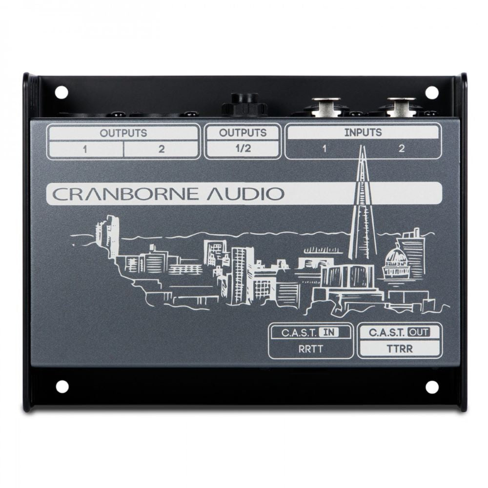 Cranborne Audio N22 Cat 5 Snake & C.A.S.T. Breakout Box