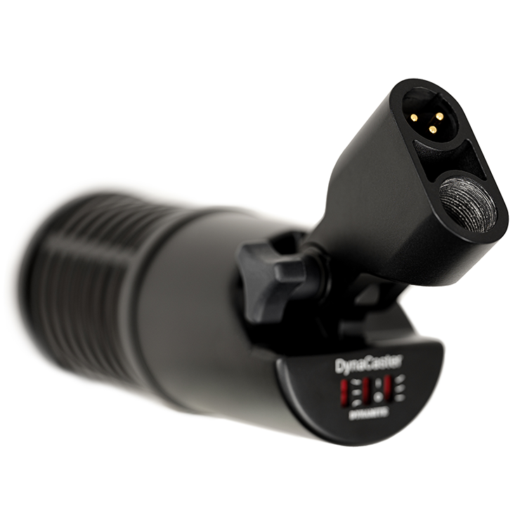 sE Electronics DynaCaster
