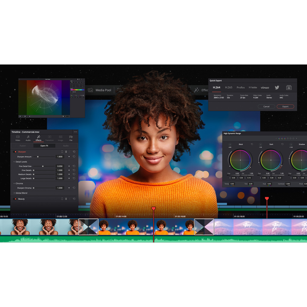 Blackmagic DaVinci Resolve Studio Software