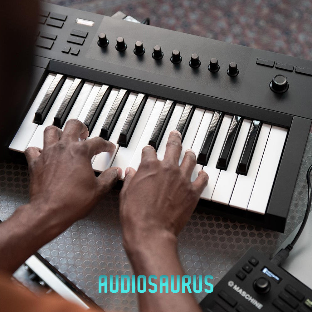 Native Instruments KOMPLETE KONTROL A25 - 25-Key Controller