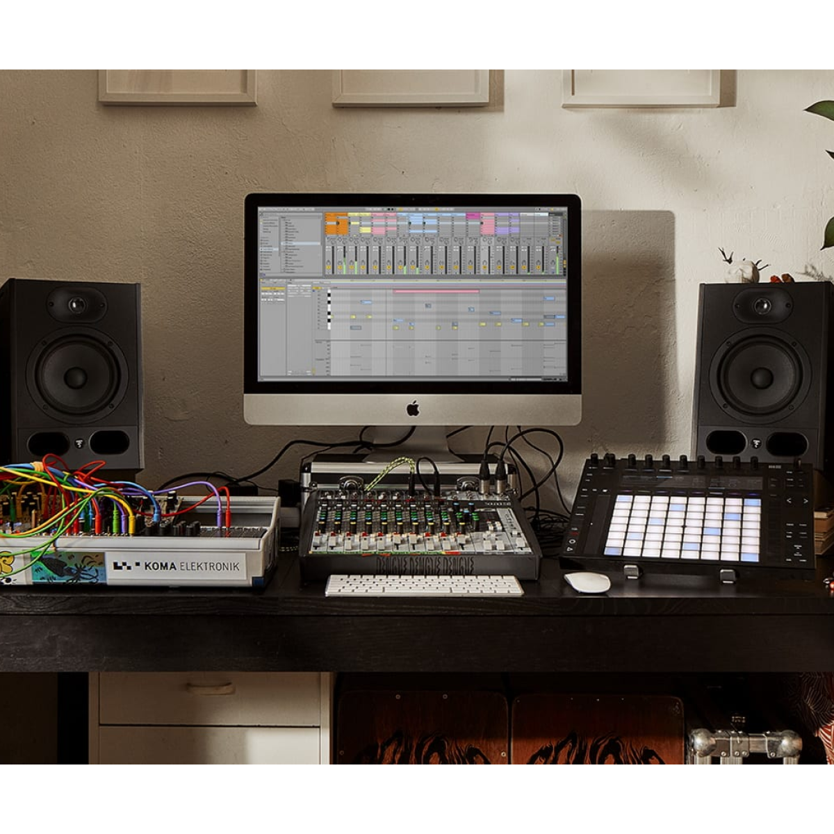 Ableton Live 12 Standard: DAW & Instrument Software