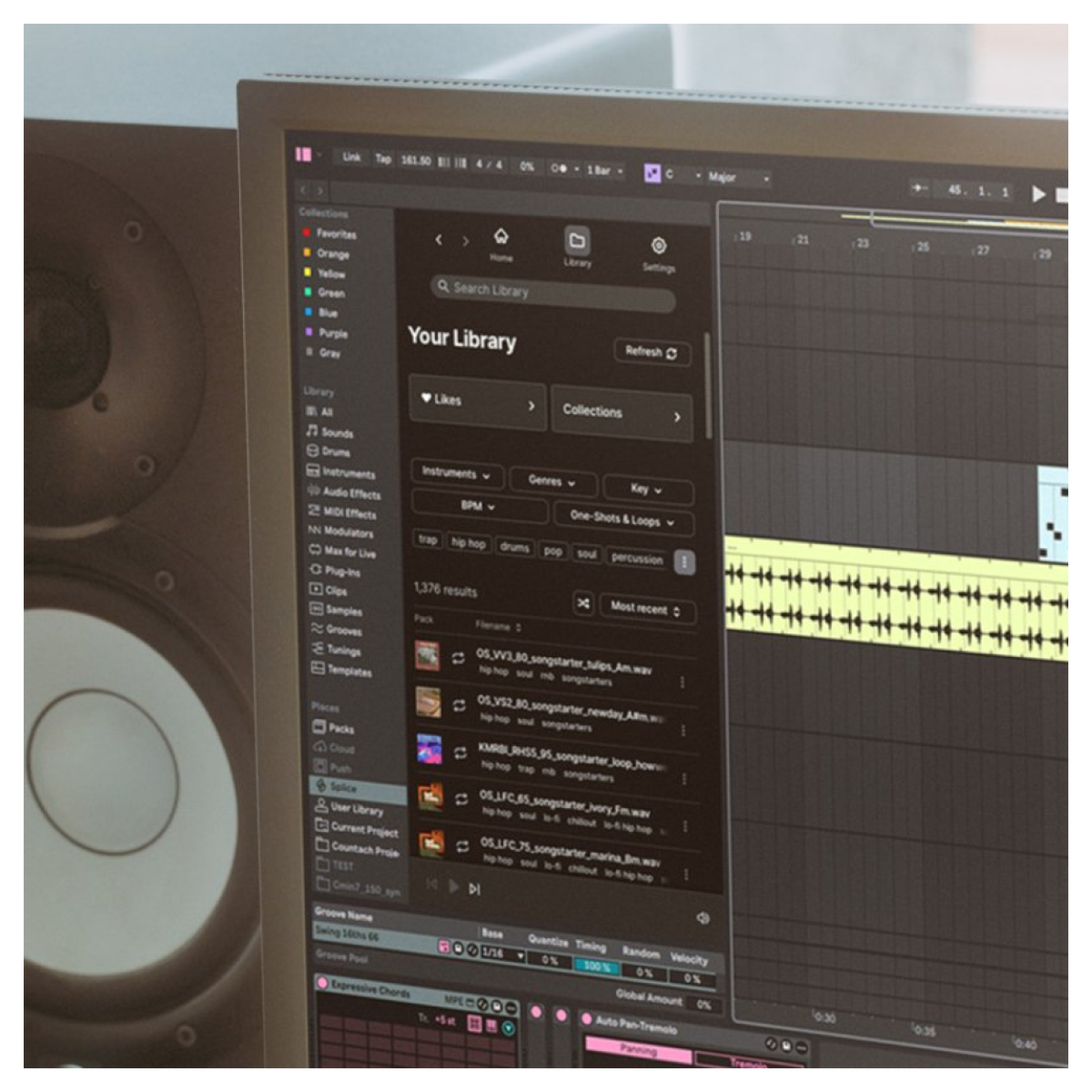 Ableton Live 12 Suite: DAW & Instrument Software