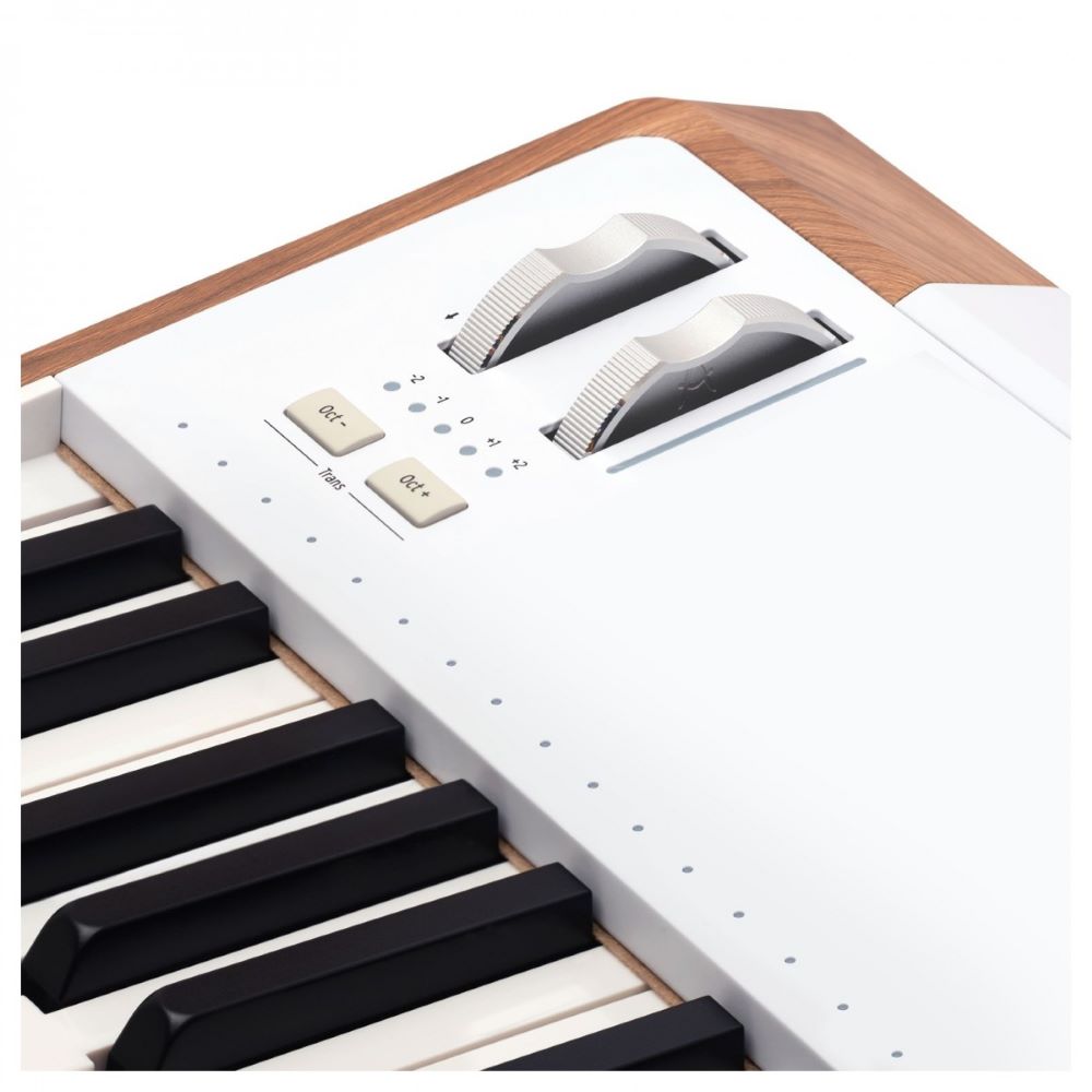 Arturia AstroLab 61-key Stage Keyboard (New)