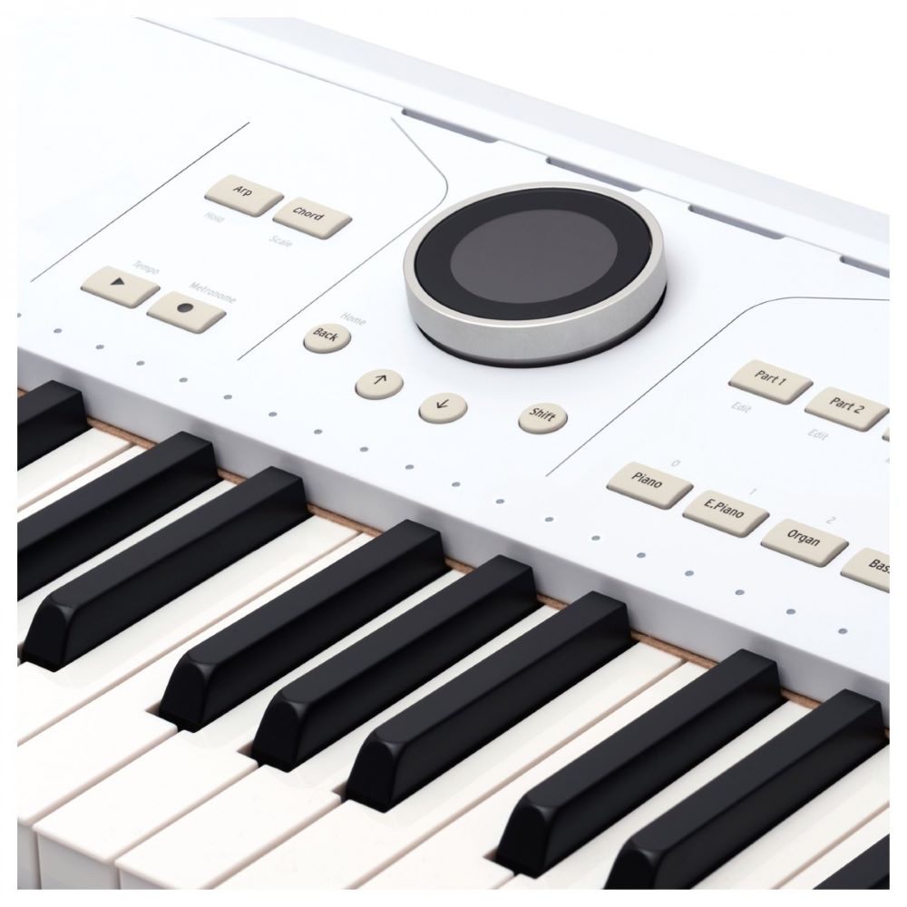 Arturia AstroLab 61-key Stage Keyboard (New)