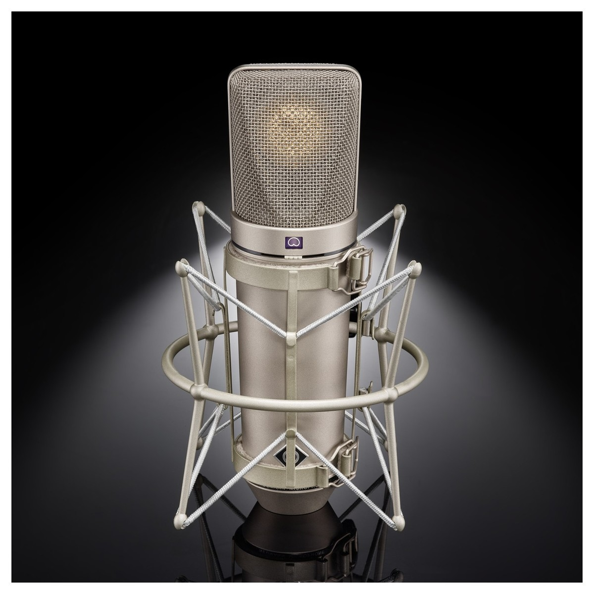 Neumann U 67 Studio Tube Microphone Set