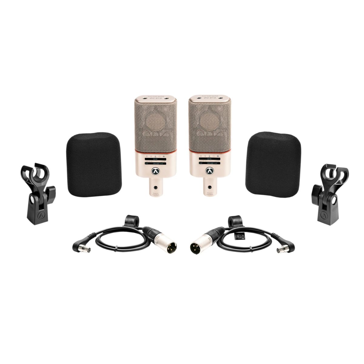 Austrian Audio OC818 Dual Set Go (Silver / Nickel)
