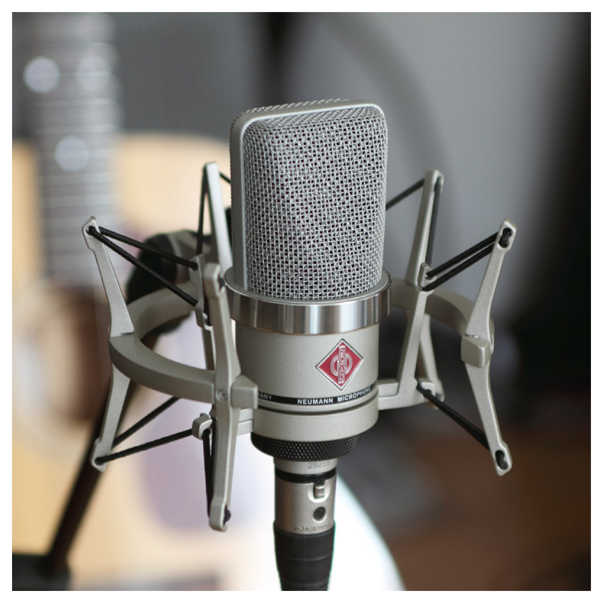 Neumann microphone with pop filter on a blurred background