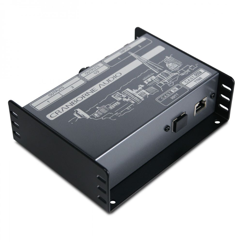 Cranborne Audio N22 Cat 5 Snake & C.A.S.T. Breakout Box