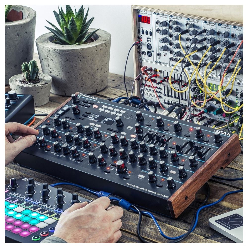 Novation Peak Polyphonic Desktop Synthesizer