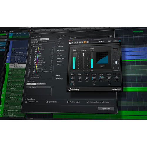 Steinberg Cubase Pro 12 DAW Software Suite