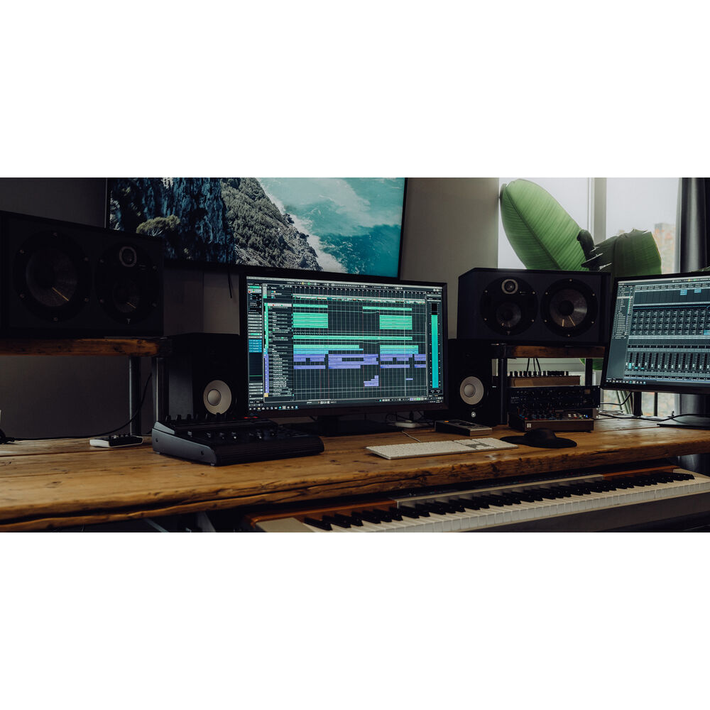 Steinberg Cubase Pro 12 DAW Software Suite